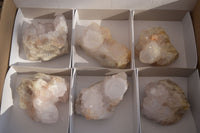 Natural Spirit Cactus Flower Quartz Clusters x 6 From Boekenhouthoek, South Africa - Toprock Gemstones and Minerals