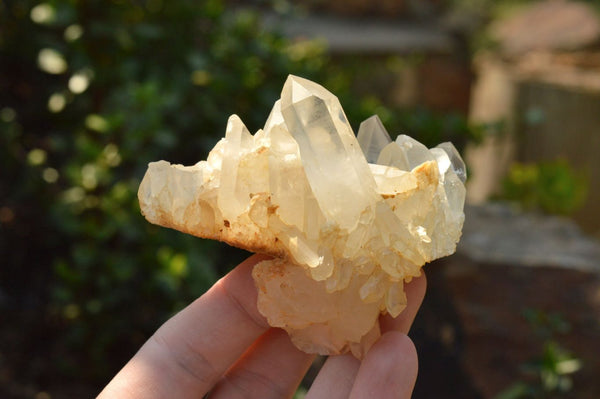 Natural Small Quartz Clusters With Long Intact Crystals  x 24 From Mandrosonoro, Madagascar - TopRock