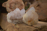 Natural Spirit Cactus Flower Quartz Clusters x 6 From Boekenhouthoek, South Africa - Toprock Gemstones and Minerals