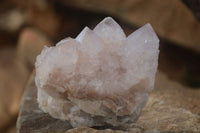 Natural Spirit Cactus Flower Quartz Clusters x 6 From Boekenhouthoek, South Africa - Toprock Gemstones and Minerals