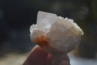 Natural White Spirit Quartz Crystals x 24 From Boekenhouthoek, South Africa - Toprock Gemstones and Minerals