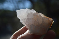 Natural White Spirit Quartz Crystals x 24 From Boekenhouthoek, South Africa - Toprock Gemstones and Minerals