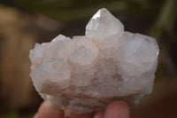 Natural Spirit Cactus Flower Quartz Clusters x 6 From Boekenhouthoek, South Africa - Toprock Gemstones and Minerals