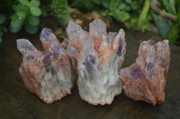 Natural Sugar Amethyst Clusters  x 6 From Zambia - Toprock Gemstones and Minerals 