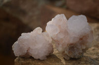 Natural Spirit Cactus Flower Quartz Clusters x 6 From Boekenhouthoek, South Africa - Toprock Gemstones and Minerals