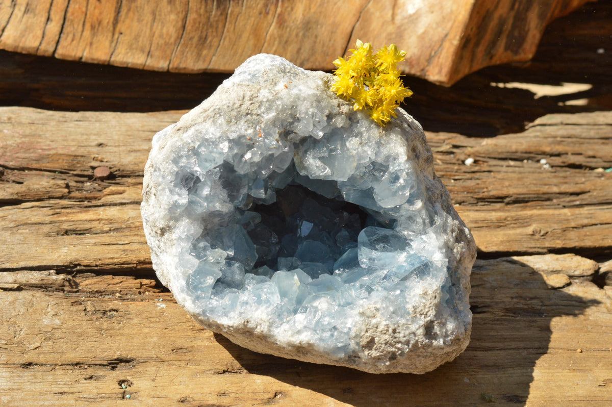 Natural Blue Celestite Geode Specimen x 1 From Sakoany, Madagascar - TopRock