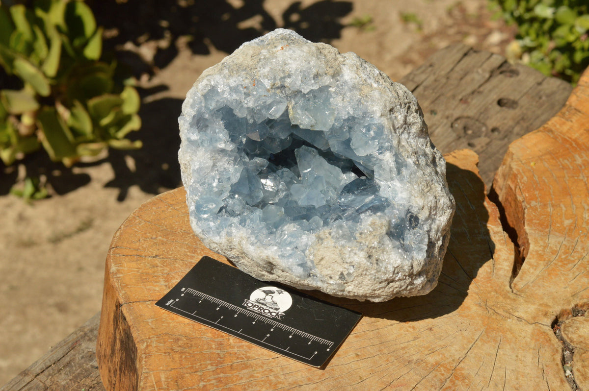 Natural Blue Celestite Geode Specimen x 1 From Sakoany, Madagascar - TopRock