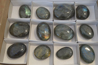 Polished Flashy Labradorite Palm Stones  x 12 From Tulear, Madagascar - Toprock Gemstones and Minerals