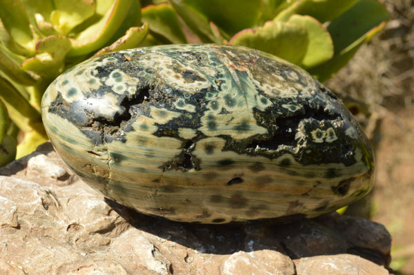 Polished Orbicular Green Ocean Jasper Standing Free Form With Natural Crystalline Vugs  x 1 From Madagascar - TopRock