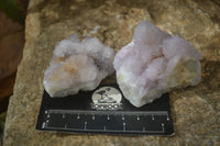 Natural Spirit Quartz Clusters x 12 From Boekenhouthoek, South Africa - Toprock Gemstones and Minerals
