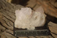Natural Spirit Cactus Flower Quartz Clusters x 6 From Boekenhouthoek, South Africa - Toprock Gemstones and Minerals