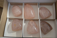Polished Gemmy Rose Quartz Standing Free Forms x 6 From Ambatondrazaka, Madagascar - Toprock Gemstones and Minerals