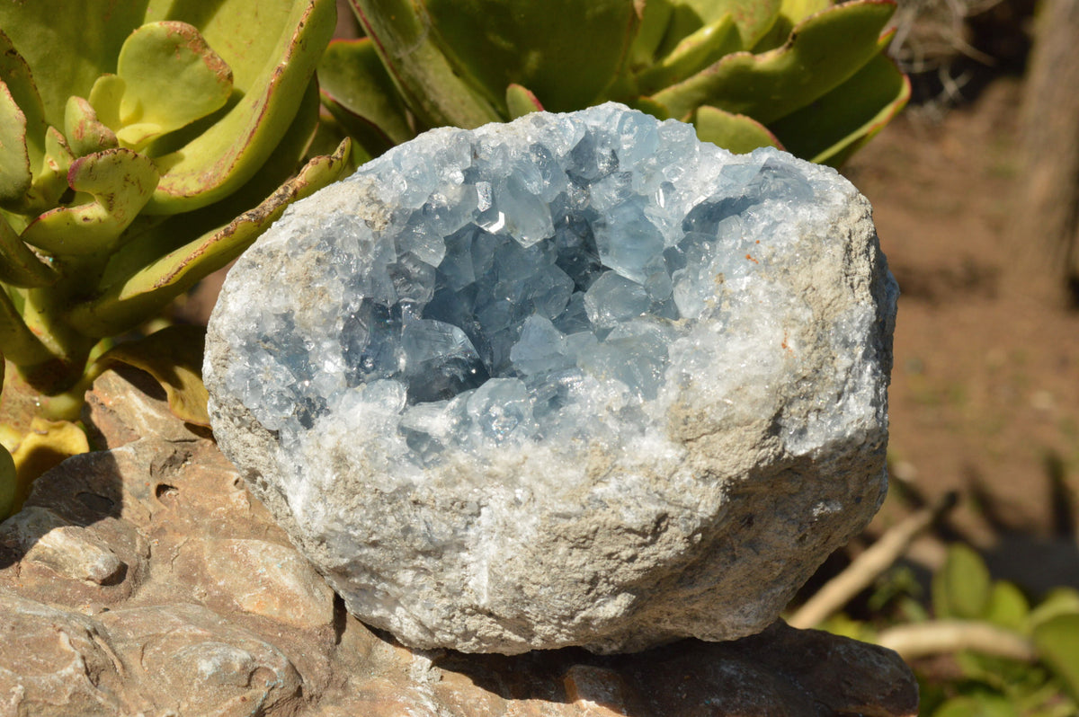 Natural Blue Celestite Geode Specimen x 1 From Sakoany, Madagascar - TopRock