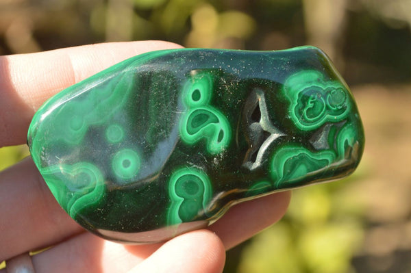 Polished Malachite Free Forms With Nice Flower Patterns x 6 From Congo - TopRock