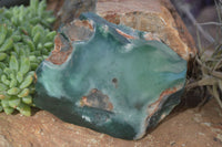 Polished Green Mtorolite / Chrome Chrysoprase Plates  x 3 From Zimbabwe - Toprock Gemstones and Minerals