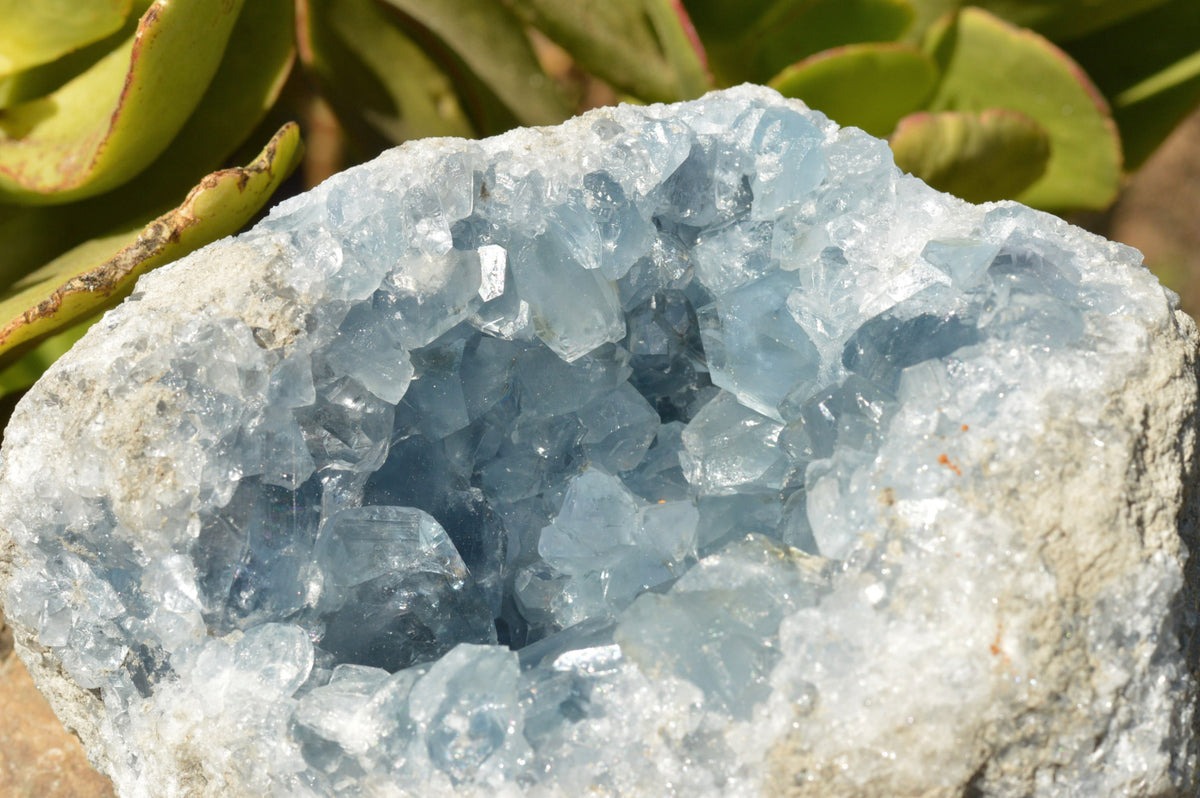 Natural Blue Celestite Geode Specimen x 1 From Sakoany, Madagascar - TopRock