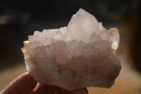 Natural Spirit Cactus Flower Quartz Clusters x 6 From Boekenhouthoek, South Africa - Toprock Gemstones and Minerals