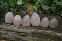 Polished Gemmy Rose Quartz Standing Free Forms x 6 From Ambatondrazaka, Madagascar - Toprock Gemstones and Minerals