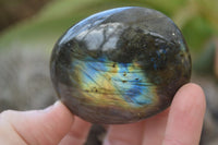 Polished Flashy Labradorite Palm Stones  x 12 From Tulear, Madagascar - Toprock Gemstones and Minerals