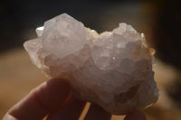 Natural Spirit Cactus Flower Quartz Clusters x 6 From Boekenhouthoek, South Africa - Toprock Gemstones and Minerals