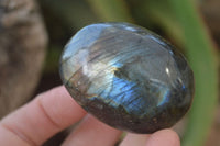 Polished Flashy Labradorite Palm Stones  x 12 From Tulear, Madagascar - Toprock Gemstones and Minerals