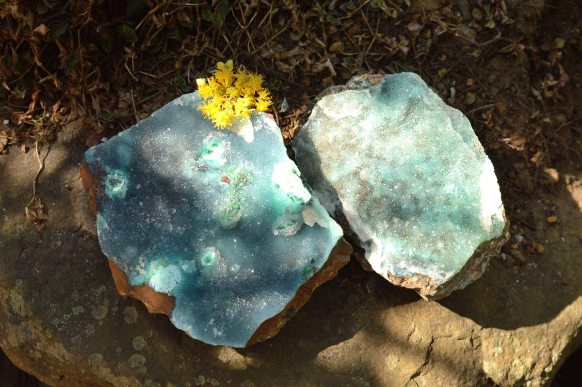 Natural Drusy Chrysocolla Dolomite Specimens x 2 From Likasi, Congo - TopRock