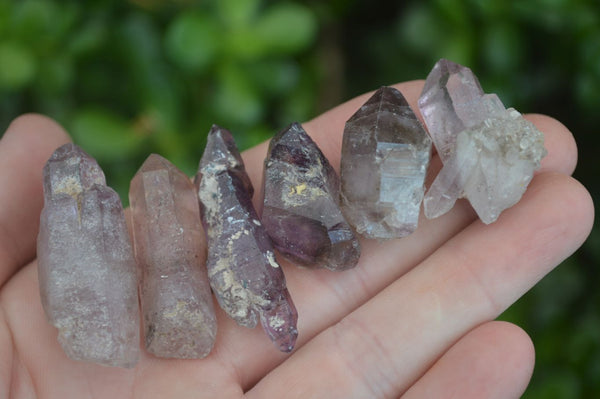 Natural Single Smokey Amethyst Crystals  x 70 From Chiredzi, Zimbabwe - Toprock Gemstones and Minerals 