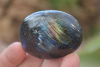 Polished Flashy Labradorite Palm Stones  x 12 From Tulear, Madagascar - Toprock Gemstones and Minerals