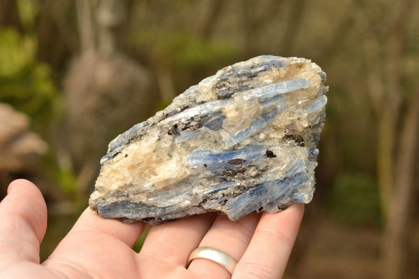 Natural Blue Kyanite Crystals In Mica & Quartz Matrix  x 7 From Karoi, Zimbabwe - TopRock