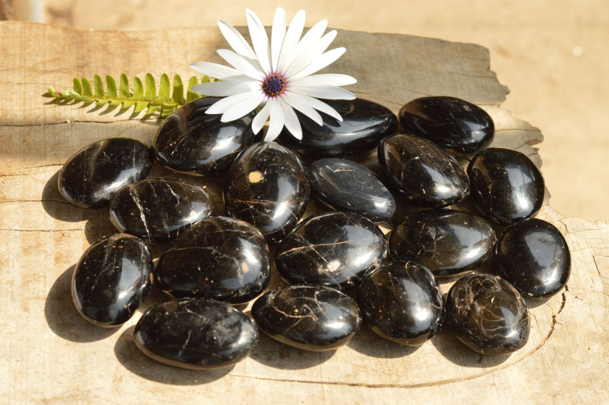 Polished Black Tourmaline / Schorl Palm Stones x 20 From Madagascar - TopRock