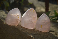 Polished Gemmy Rose Quartz Standing Free Forms x 6 From Ambatondrazaka, Madagascar - Toprock Gemstones and Minerals