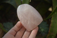 Polished Gemmy Rose Quartz Standing Free Forms x 6 From Ambatondrazaka, Madagascar - Toprock Gemstones and Minerals