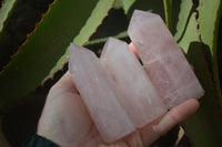 Polished Pink Rose Quartz Points x 6 From Ambatondrazaka, Madagascar - Toprock Gemstones and Minerals