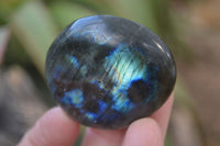 Polished Flashy Labradorite Palm Stones  x 12 From Tulear, Madagascar - Toprock Gemstones and Minerals
