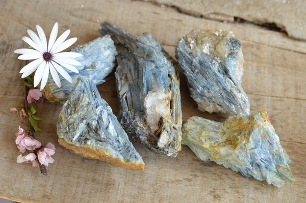 Natural Blue Kyanite Crystals In Quartz Matrix  x 5 From Zimbabwe - TopRock
