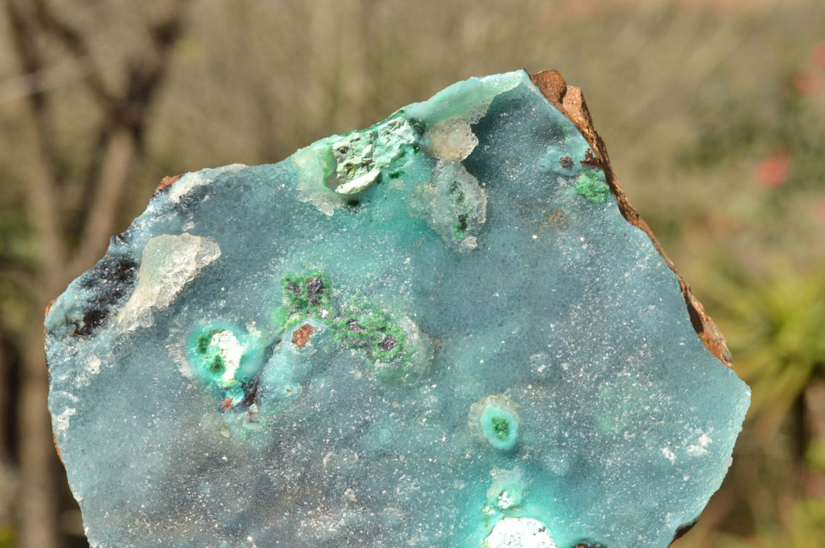 Natural Drusy Chrysocolla Dolomite Specimens x 2 From Likasi, Congo - TopRock