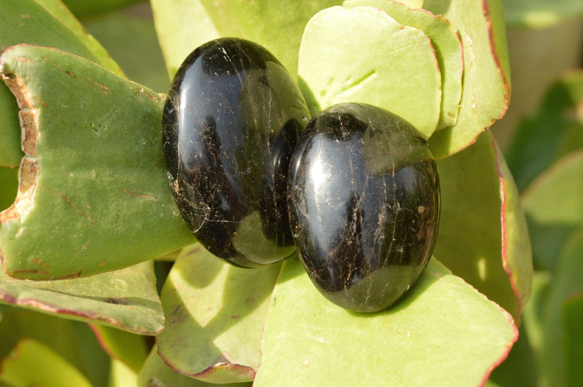 Polished Black Tourmaline / Schorl Palm Stones x 20 From Madagascar - TopRock