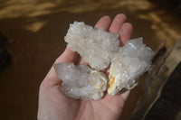 Natural Cactus Flower Spirit Quartz Specimens x 12 From Boekenhouthoek, South Africa - Toprock Gemstones and Minerals
