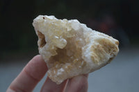 Natural Small Golden Lemonite / Limonite  Quartz Clusters  x 35 From Zambia - Toprock Gemstones and Minerals