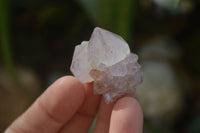 Natural Single Spirit Amethyst Quartz Crystals x 70 From Boekenhouthoek, South Africa - Toprock Gemstones and Minerals