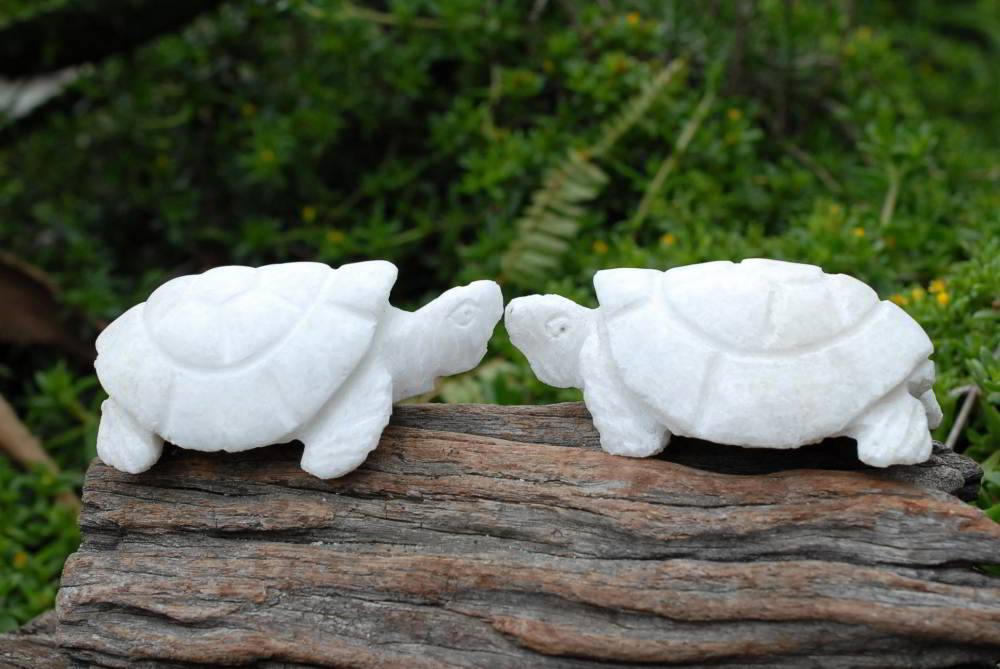 Polished Hand Carved Marble Tortoises x 4 From Zimbabwe - TopRock