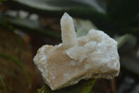 Natural Mixed Spirit Quartz Clusters  x 24 From Boekenhouthoek, South Africa - TopRock