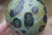 Polished Stromatolite / Kambamba Jasper Spheres  x 3 From Madagascar - Toprock Gemstones and Minerals