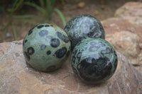 Polished Stromatolite / Kambamba Jasper Spheres  x 3 From Madagascar - Toprock Gemstones and Minerals