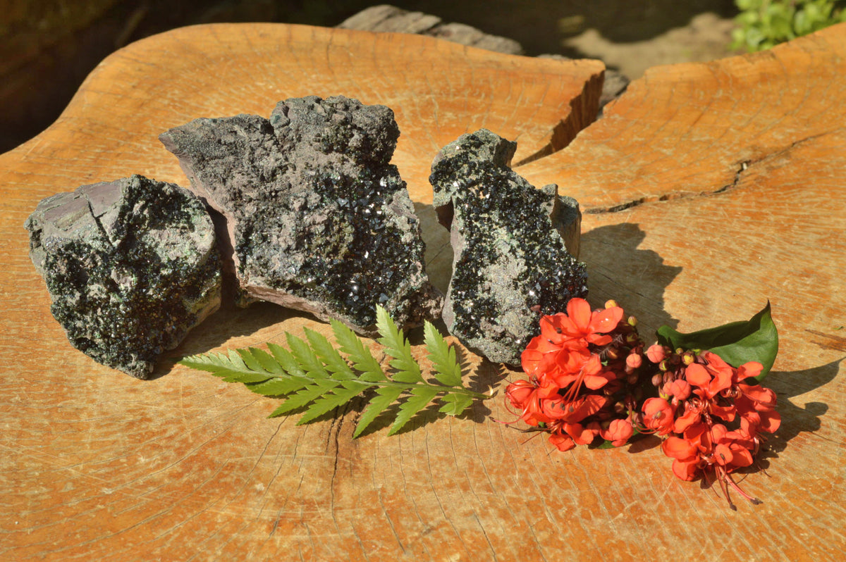 Natural Rare Copper Phosphate Libethenite On Dolomite Clusters x 3 From Shituru, Congo - TopRock