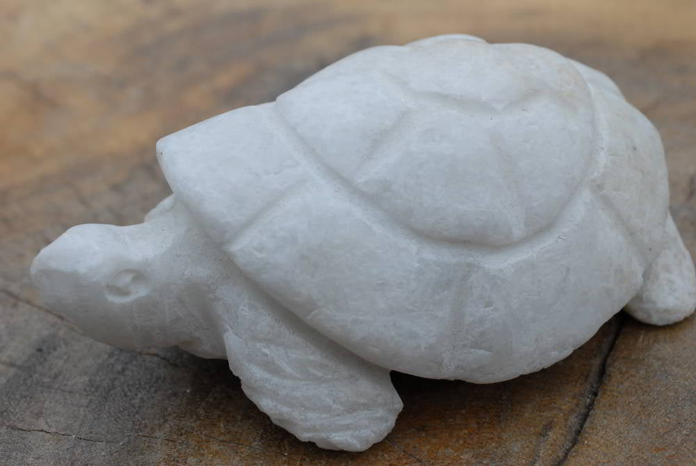 Polished Hand Carved Marble Tortoises x 4 From Zimbabwe - TopRock