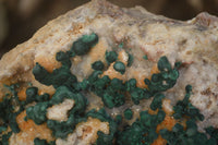 Natural Rare Ball Malachite On Golden Limonite Quartz & Dolomite Specimen x 1 From Kambove, Congo - Toprock Gemstones and Minerals