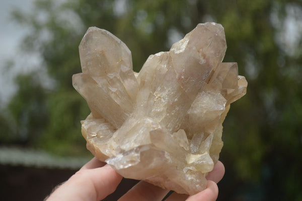 Natural Quartz Crystal Clusters  x 2 From Karoi, Zimbabwe - TopRock