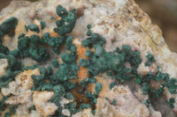 Natural Rare Ball Malachite On Golden Limonite Quartz & Dolomite Specimen x 1 From Kambove, Congo - Toprock Gemstones and Minerals