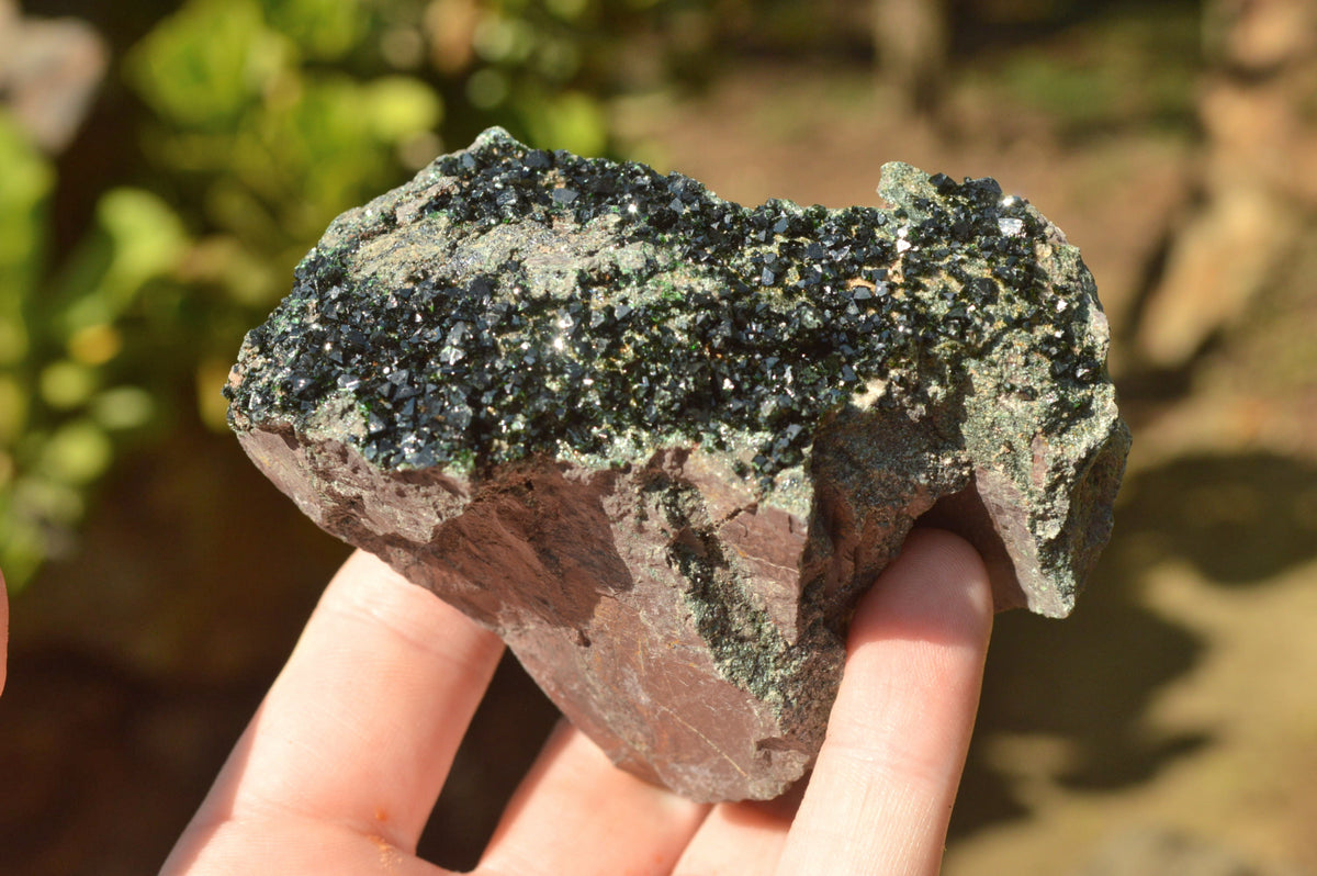 Natural Rare Copper Phosphate Libethenite On Dolomite Clusters x 3 From Shituru, Congo - TopRock